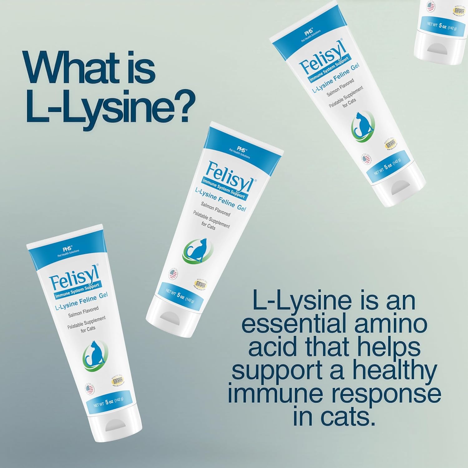 Felisyl L-Lysine Gel for Cats & Kittens (5oz) – Immune System, Respiratory & Eye Health Support. Reduces Sneezing, Runny Nose & Watery Eyes. Daily Salmon-Flavor Supplement – Made in USA (6 Pack) — Amazon image 6