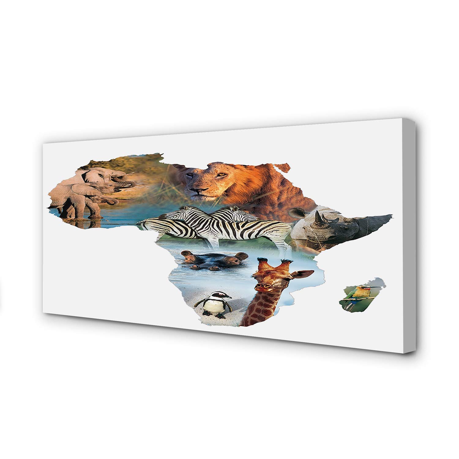 Photo image Afrique decorative pour mur de salon avec girafe et tigre Tulup
