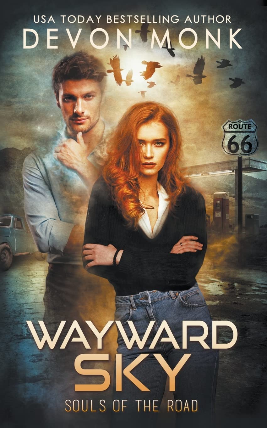 Wayward Sky: 3 (Souls of the Road)