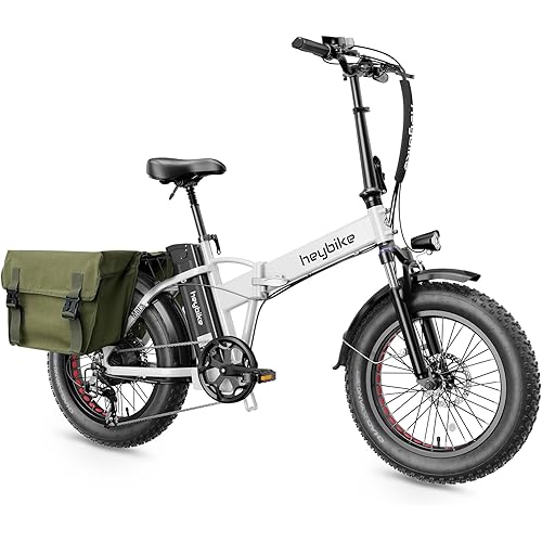 Electric Bike for Adults with Peak 1000W Motor up to 25Mph EBS Ebike, Built-in 48V Removable Battery up to 55 Max Miles Folding Ebike, Aluminum 20'' Fat Tire Electric Bicycle