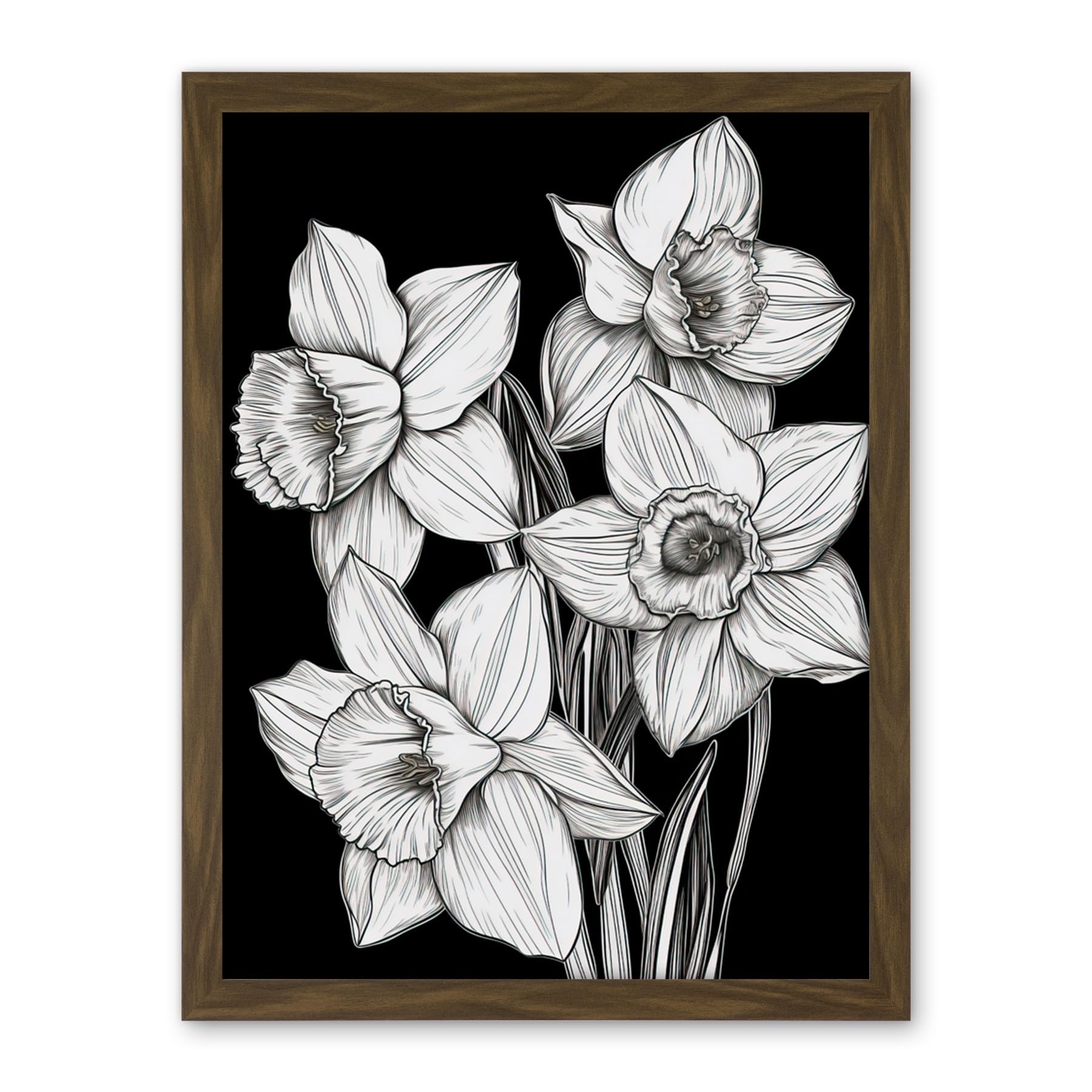 Artery8 Daffodil Wildflower Plant Blooms Black and White Artwork Framed Wall Art Print 18X24 Inch