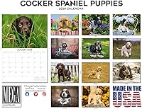 Vista 194 de Razas de Perros 2017