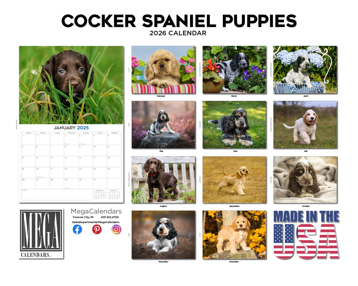 Calendario 2024 2025 con cuccioli di Cocker Spaniel, calendario mensile da parete con razza di cane, 30,5 x 45,7 cm, aperto, carta spessa senza sbavature, regalo, calendario per insegnanti accademici,