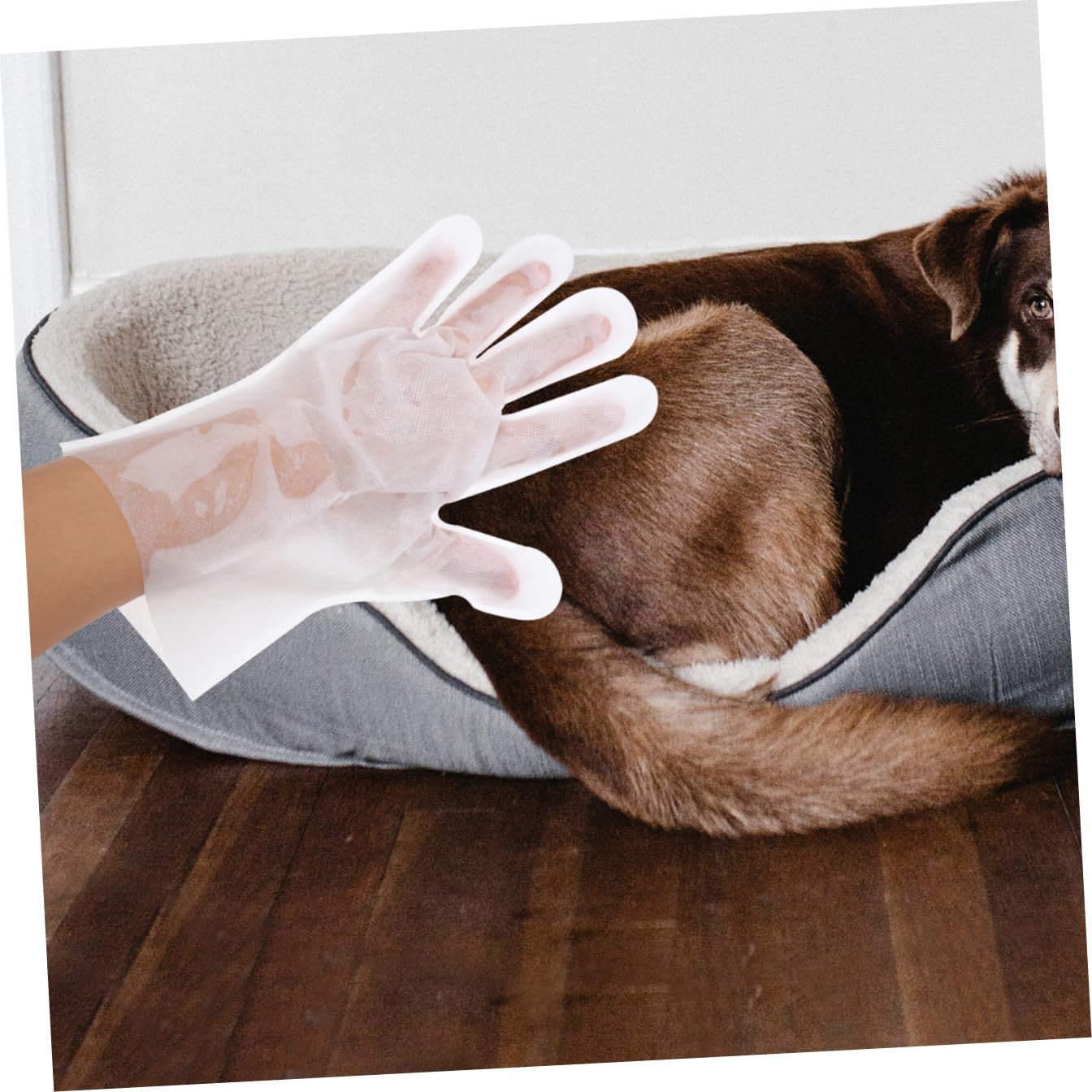 18 Piezas Guantes Toallitas Para El Aseo De Mascotas Pelo De Mascota Toallitas Desechables Para Mascotas Toallitas Para Perros Cepillo Depilatorio Tela No Tejida Depilación