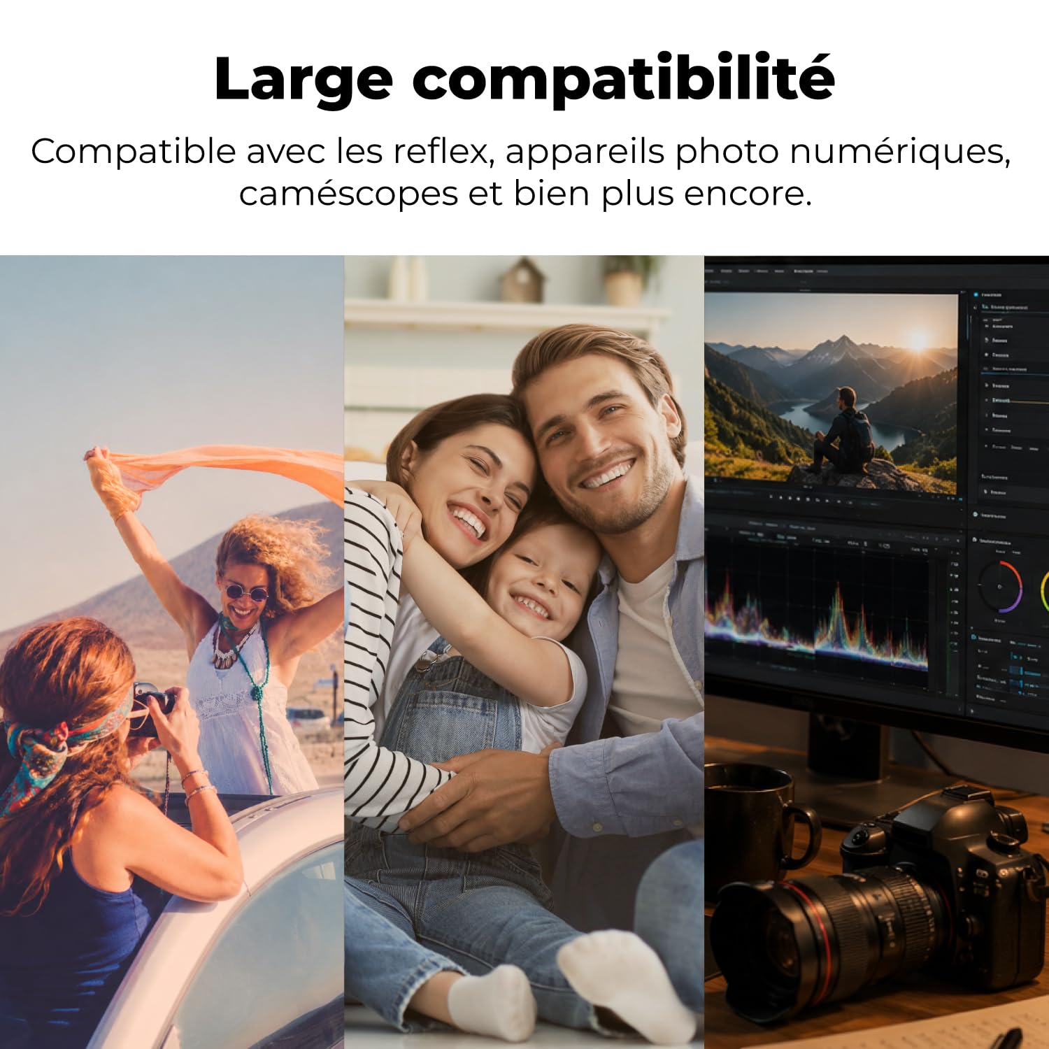 LinkMore - Tarjeta de memoria SDXC de 256 GB, tarjeta SD UHS-I U3 V30, clase 10, lectura de hasta 95 MB/s, escritura de hasta 60 MB/s, para cámara, videocámara y ordenador (Mist SD3C)