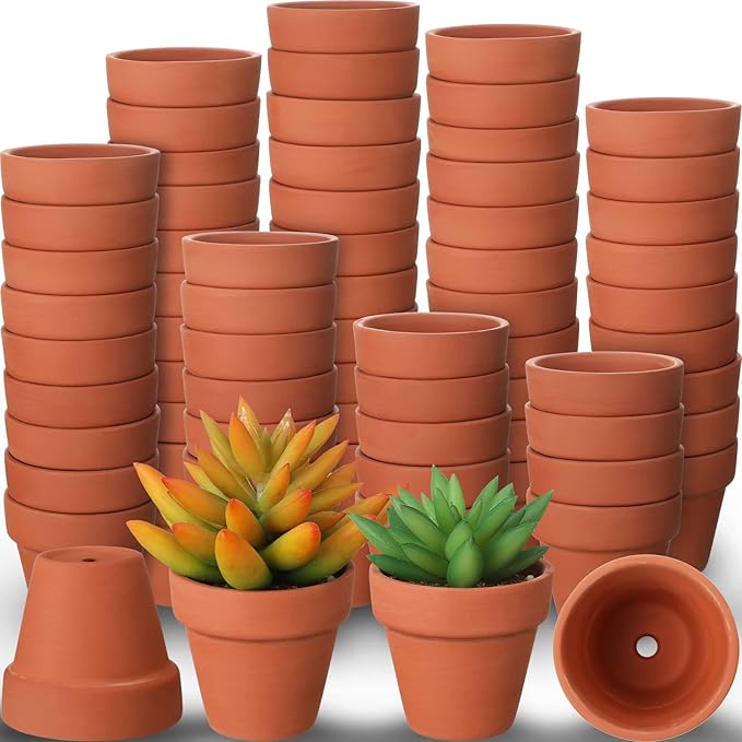 100 Pcs Mini Flower Pots 2 Inch Tiny Small Clay Pots