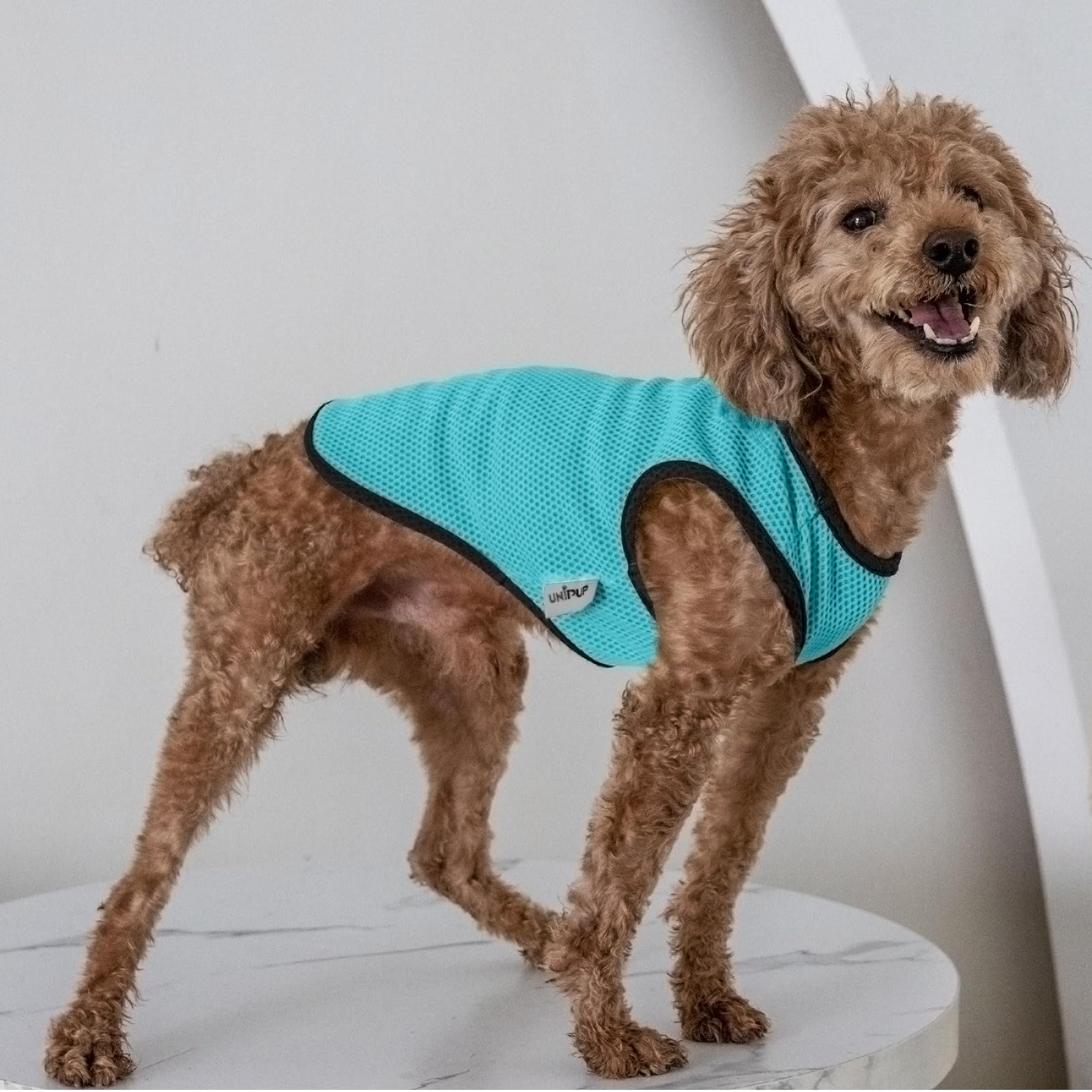 Chaleco Refrigerante Para Perros - Camiseta Sin Mangas De Secado Rápido, Protección Solar, Tallas S-XL