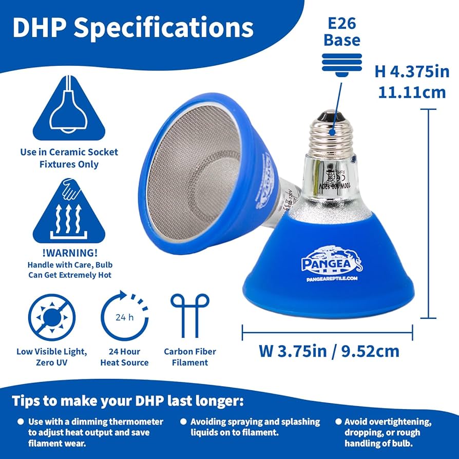 Infrarood Lamp Kopen? - Arcadia Deep Heat Projector 80 Watt | RARHP80