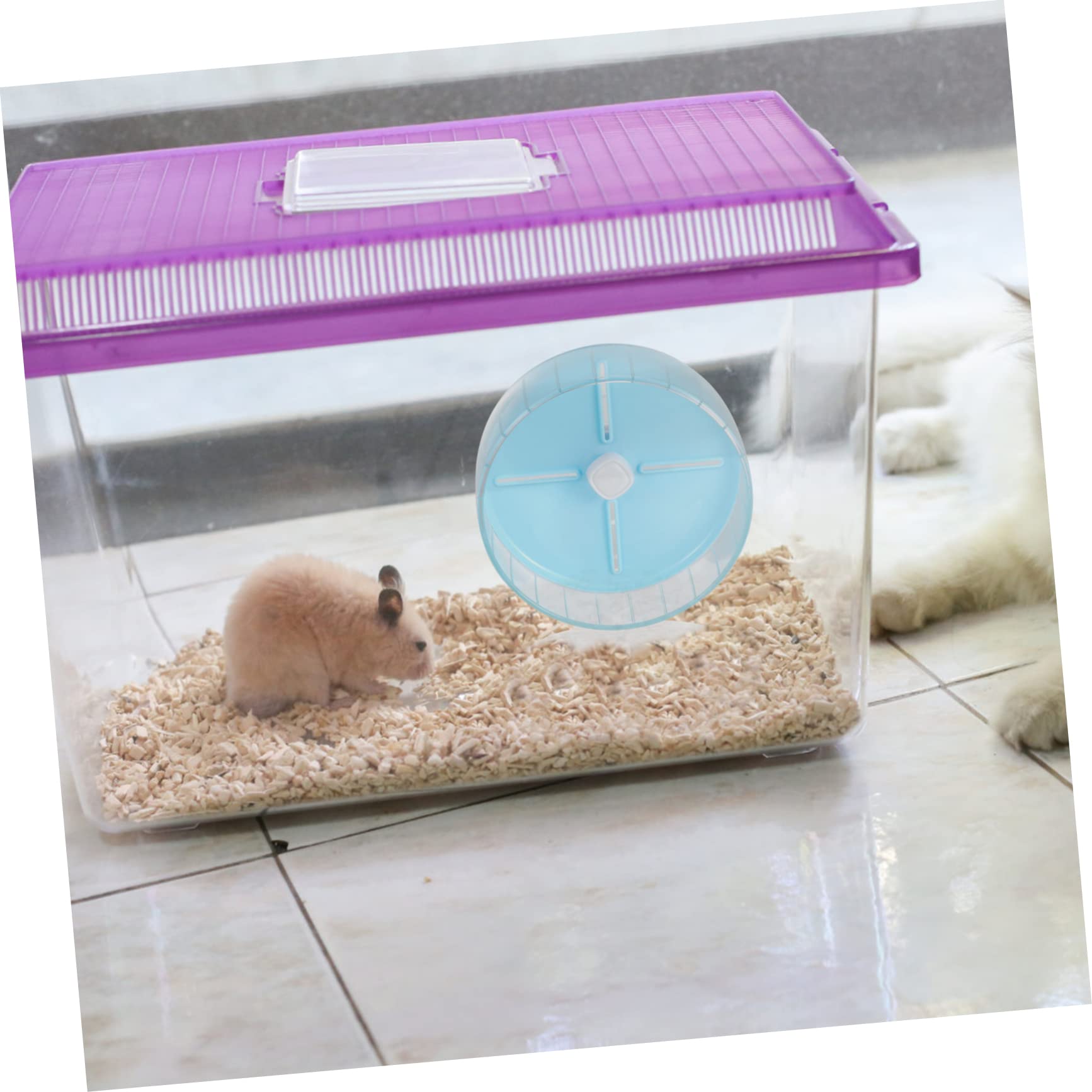 Housoutil 1pieza Rueda De Ejercicio para Hámster Rueda Silenciosa Soporte Juguete Interactivo para Mascotas Pequeñas para Aliviar El Aburrimiento y Aumentar La Actividad