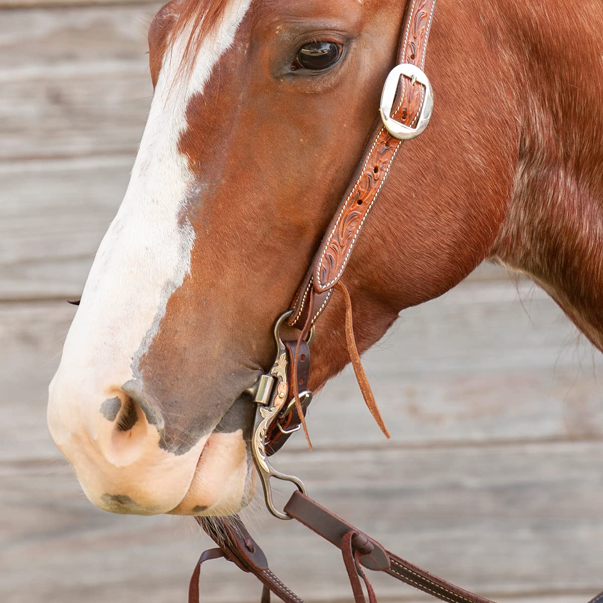 Tough 1 Stainless Steel Hackamore Bit w.Rubber Tube