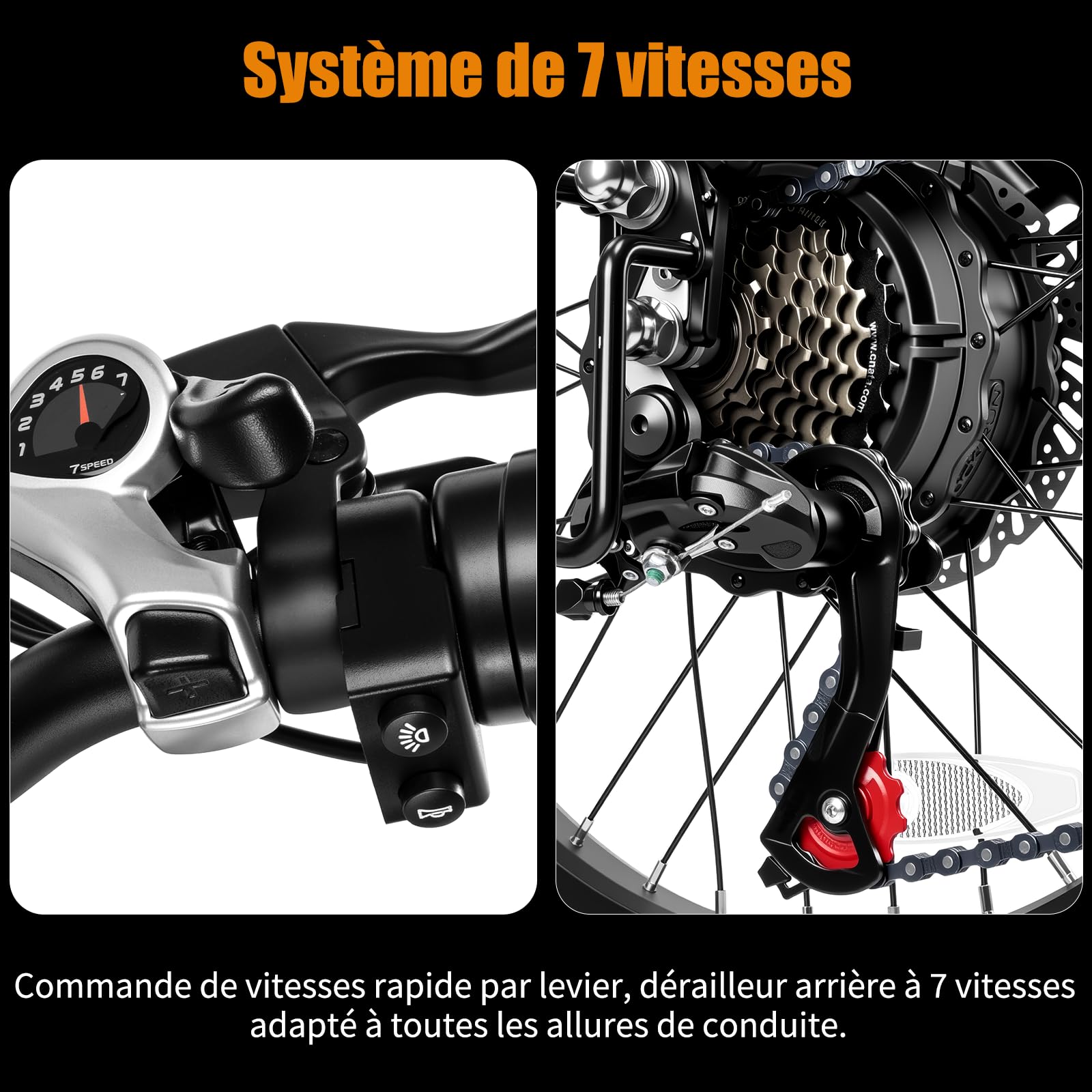 Vélo électrique 20F063, vélo électrique de 20" avec moteur de 250 W, batterie 48 V 11,6 Ah, dérailleur à 7 vitesses, écran LCD, portée jusqu'à 80 km