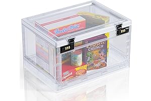 Ingenius Large Puzzle Lock Box