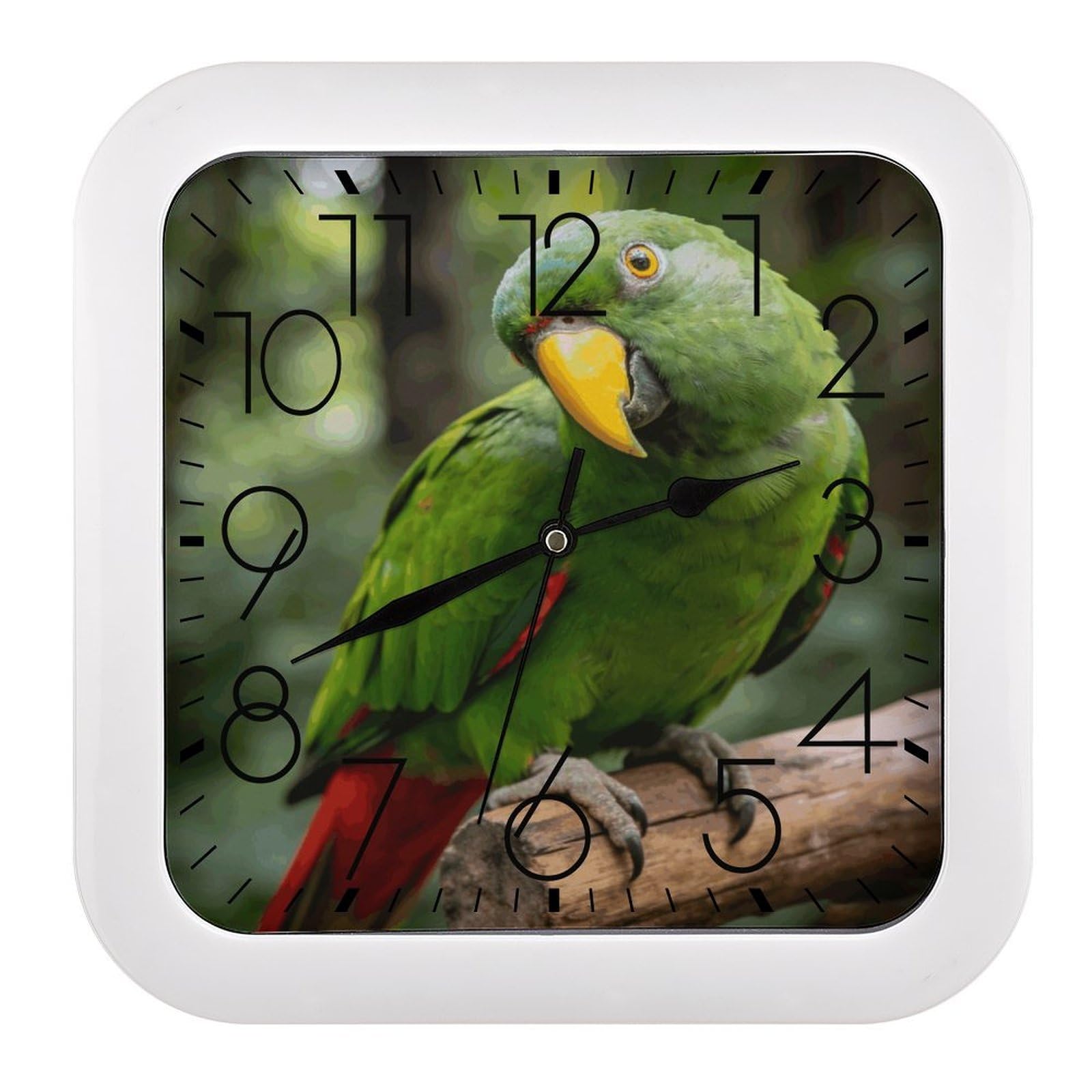 Fodpand Style Green Feathers Fixed Their Gaze Wall Clock,Battery Operated Modern Retro Rounded Square Clock Clock For Bedroom Living Room Office Home Gym Porch Decor Indoor Outdoor 10.2 * 10.2In