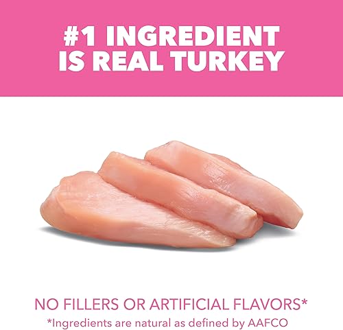 Miniatura 4 de Iams IAMS PROACTIVE HEALTH - Alimento seco para gatos adultos para digestión sensible y piel con pavo real, croquetas para gatos, bolsa de 3 libras