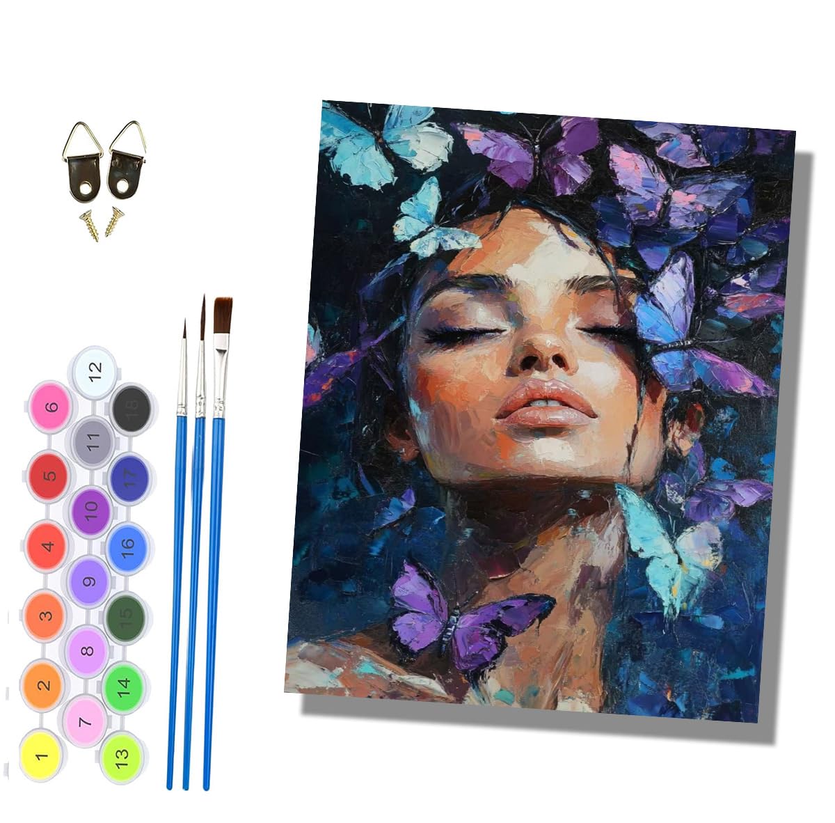 HONGPZH Paint by Numbers for Adults and Beginner Painting by Number Without Frame Oil Paintings on Canvas House Wall Decor 16x20in Beautiful Butterfly