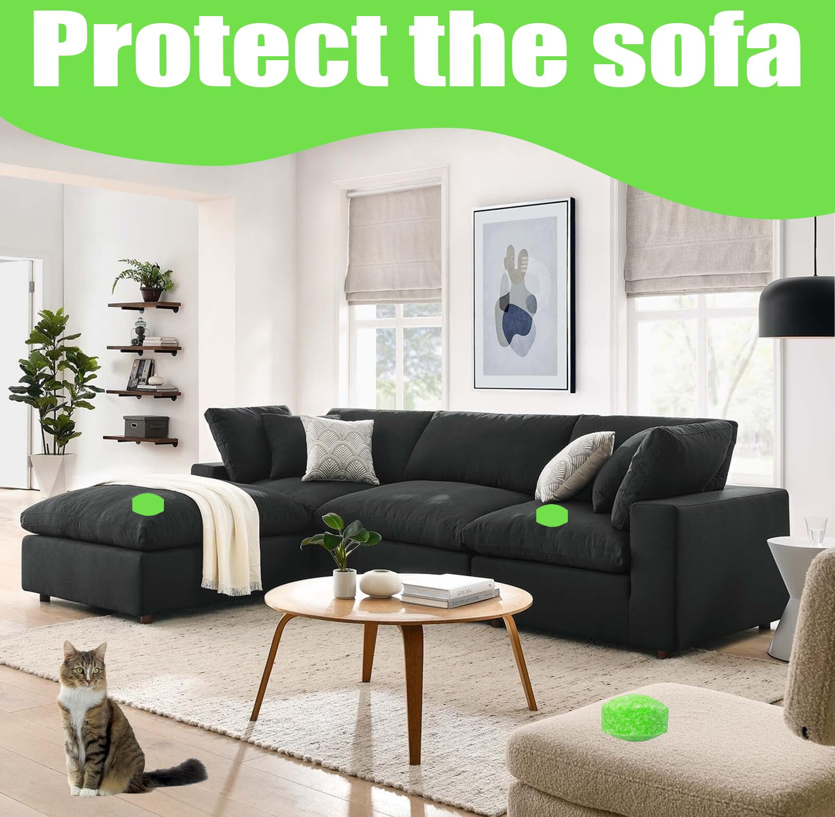 12 Sfere Repellenti Naturali per Gatti | Protezione Casa & Giardino contro Gatti & Cani | Con Olio di Menta & Citronella | Sicuro per Animali, Resistente alle Intemperie, Efficace – Set