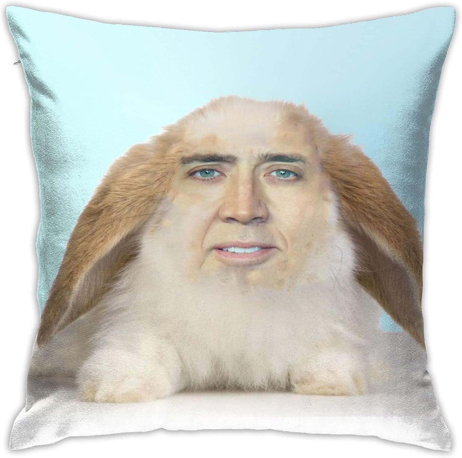 Nicholas Cage Spoof Funny Throw Pillow Cover DoubleSided Printed Pillow Cases