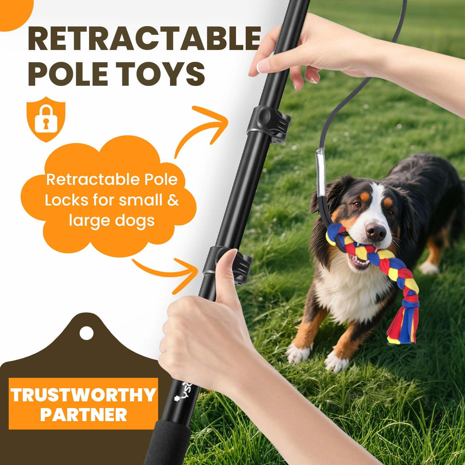 Ycozy Flirt Pole Cane 103cm, Cane Teaser Palo, Bacchetta Da Teaser Allungabile, Corda Giocattolo Interattivo All'Aperto per Cani Piccola/Media/Grandi Allenamento Esercizio Di Gioco