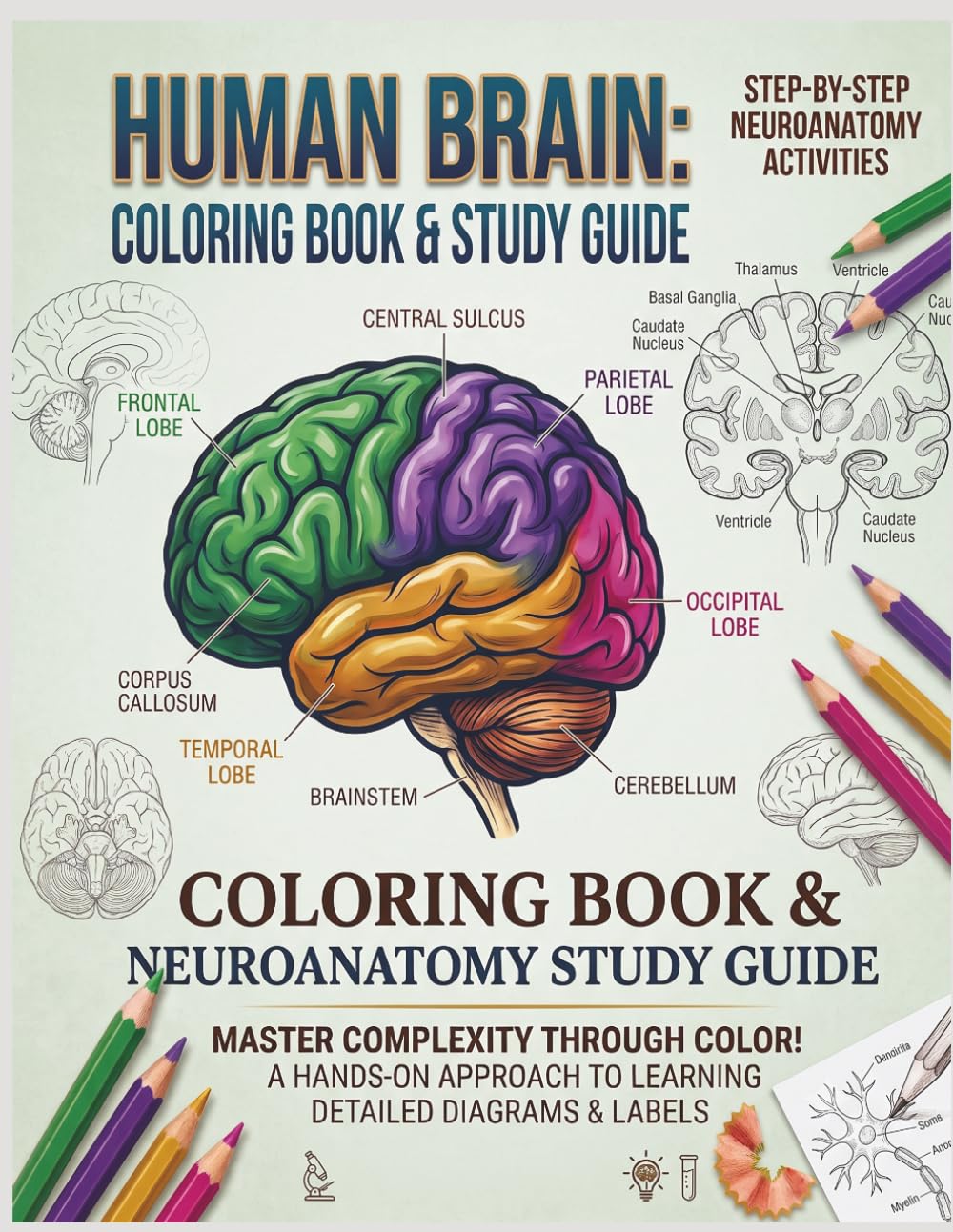 Human Brain Coloring Book and Study Guide : 30 Neuroanatomy Illustrations with Essential Anatomy: An Educational Neuroanatomy Coloring Book for Medical Students, Nursing Students