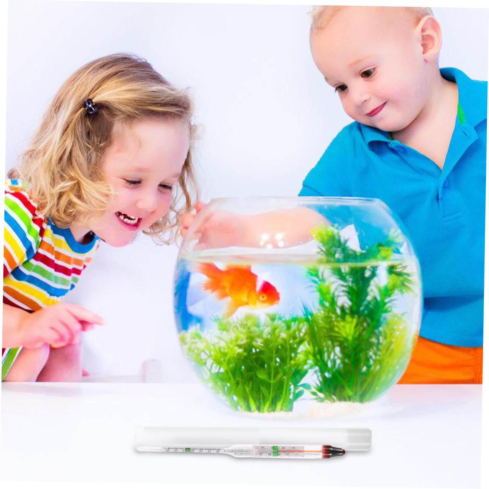 TOYANDONA 10 Juegos medidor de salinidad del Agua de mar pecera indicador Sal Marina para Acuario Largo hidrómetro Digital Peces hidrómetro de Agua Salada de precisión el plastico