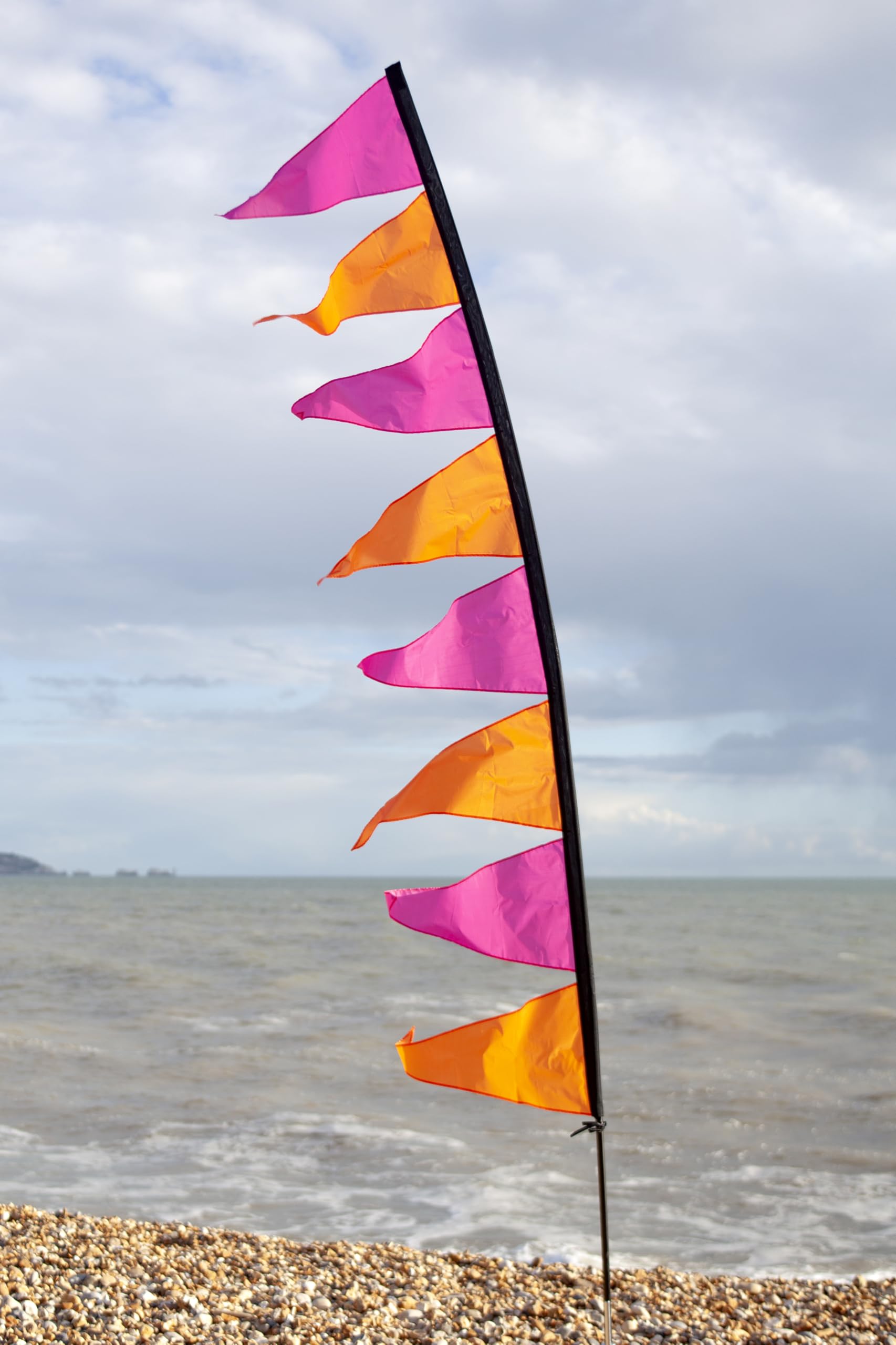Festivology Festival Flag - Chilli Party Vibes Flag (Choice of Poles Available) (Super Strong Pole)