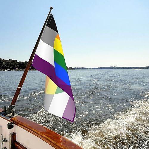 Miniatura 8 de Homoromantic - Bandera de orgullo asexual para fiesta de bienvenida al aire libre, decoración exterior para el hogar, casa, jardín, patio, bandera