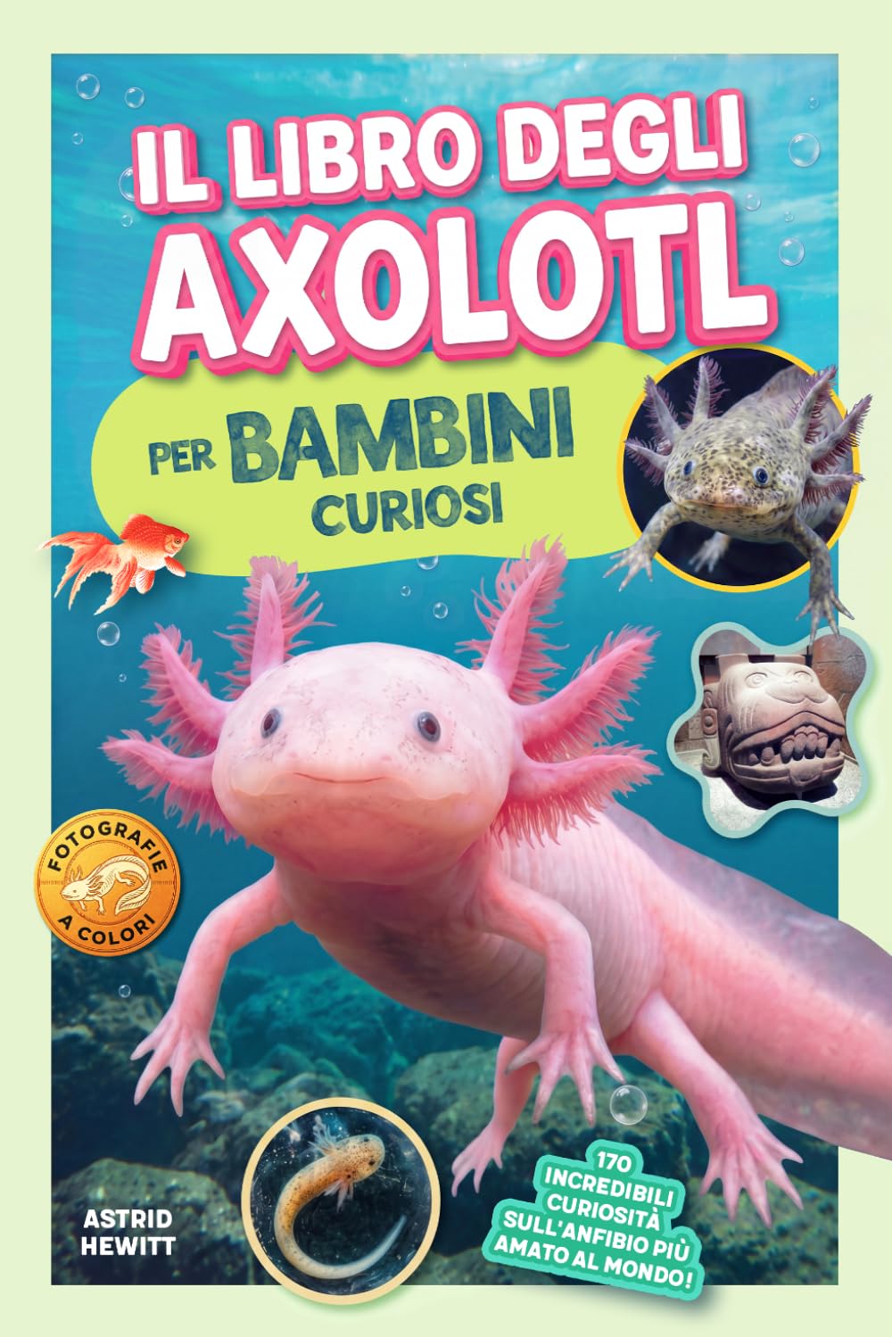 Il Libro degli Axolotl per Bambini Curiosi: 170 incredibili curiosità sull'anfibio più amato al mondo!