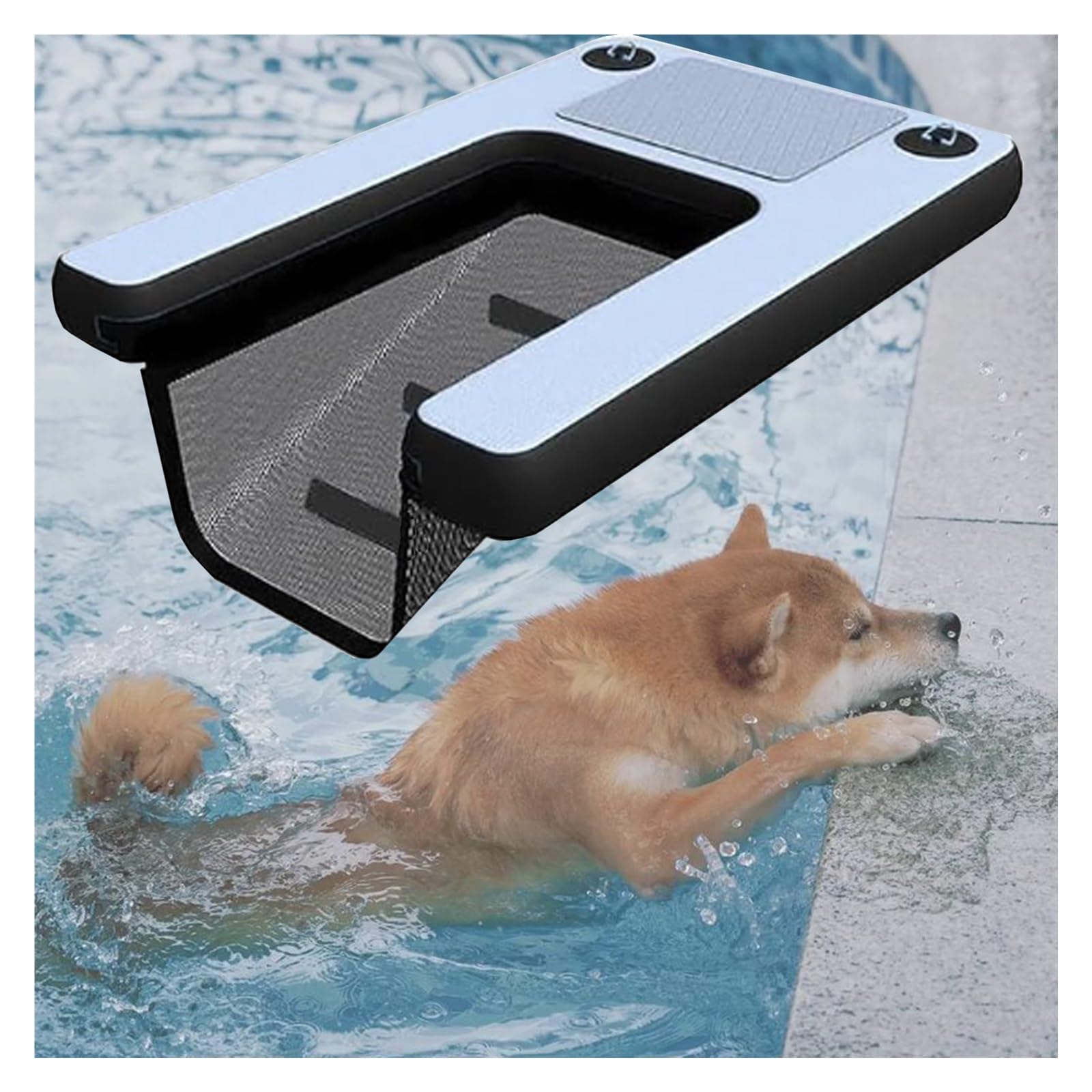 Escalier flottant pour chien évitant la fatigue et sécurisant les sorties d'eau
