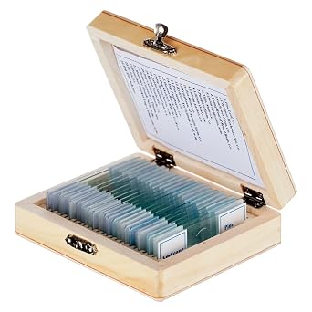 AmScope PS25 Prepared Microscope Slide Set for Basic Biological Science | 25pc Prepared Slides Professionally Stained & Labeled Cedar Wood Oil Preserved Varnished Wooden Storage Case