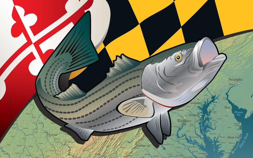 Citizen Pride Maryland Rockfish Door Mat by Joe Barsin, 30x18