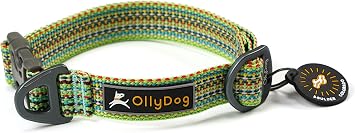 OllyDog Rescue Adjustable Dog Collar with Sturdy Buckle, Lightweight Training Collar for Large, Medium and Small Dogs Small, Prism Green