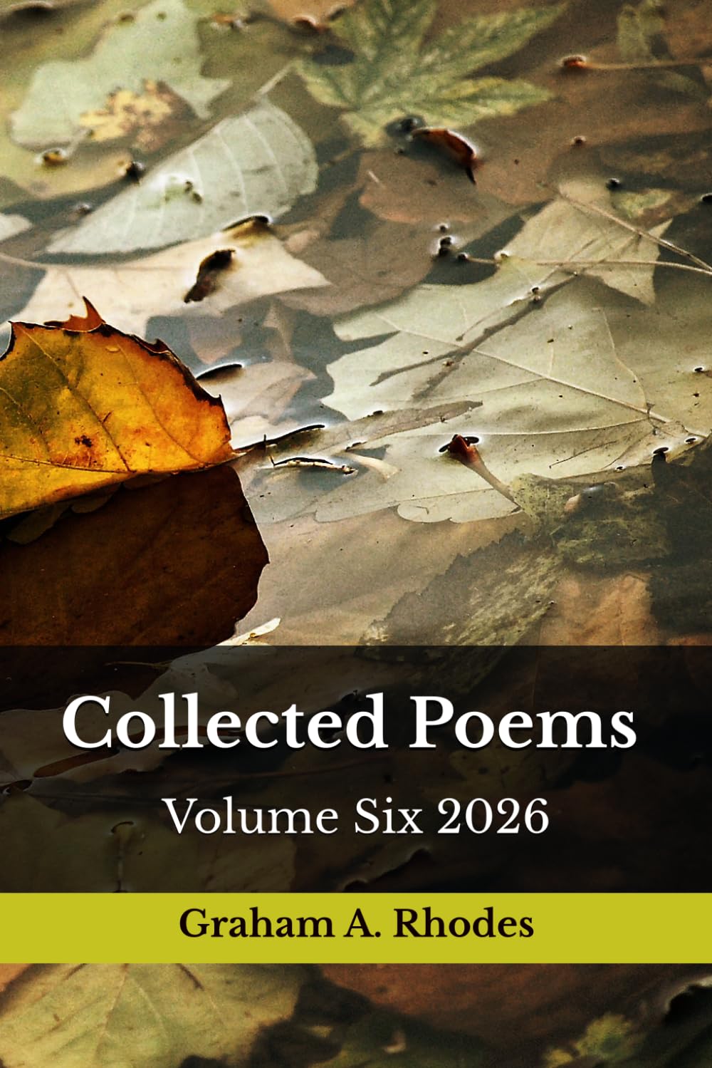 Collected Poems Volume Six 2026