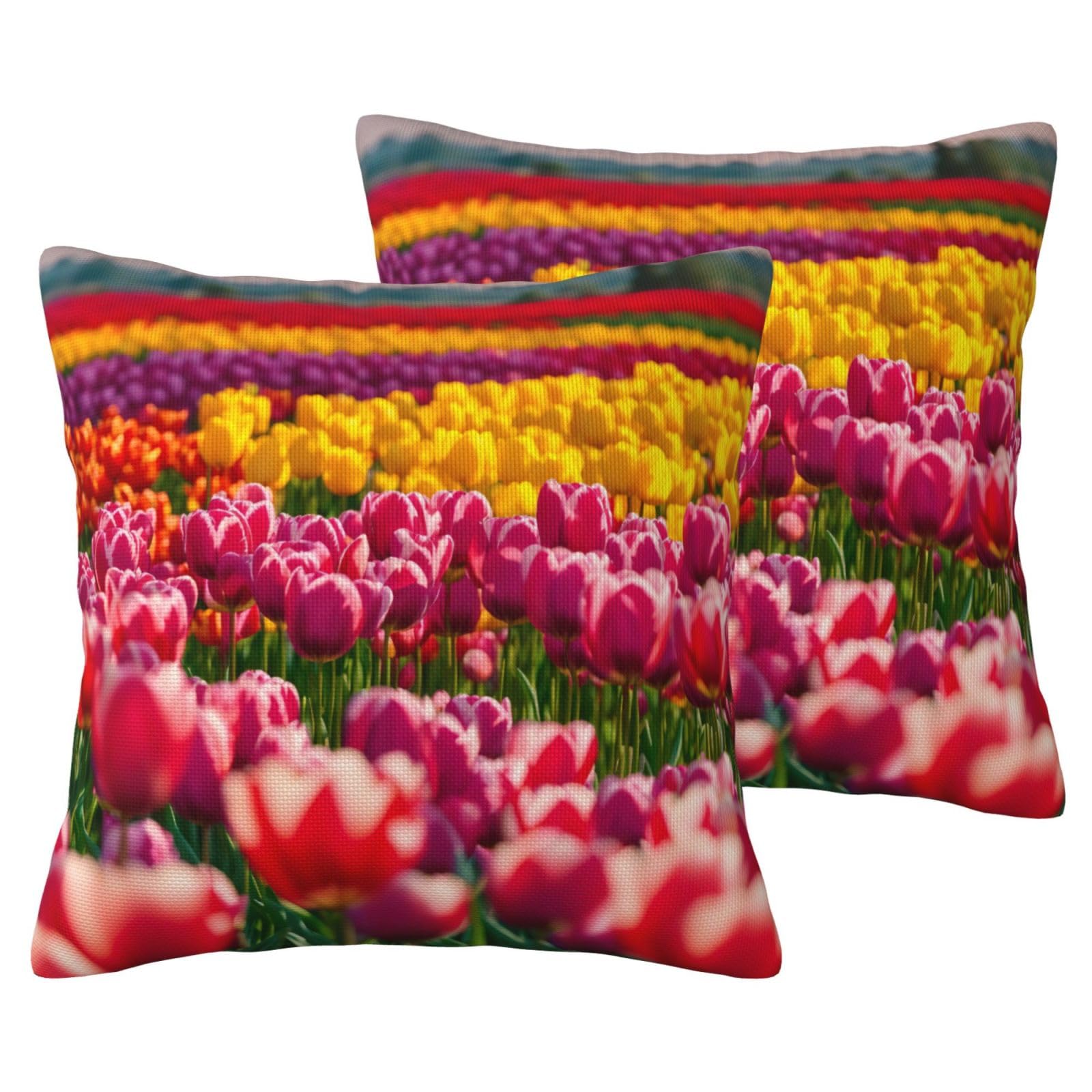 Housse de coussin tulipes colorées canapé lit EdWal de 2