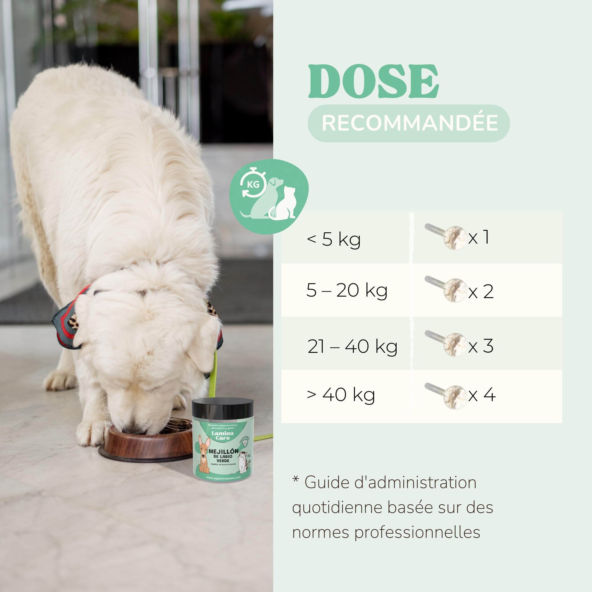Poudre Moule Verte Chien et Chat pour Prévenir Arthrose Chien, Renforcer Articulations et Les Os avec Glucosamine et Omega 3, Complements Alimentaires Chiens pour Améliorer la Mobilité