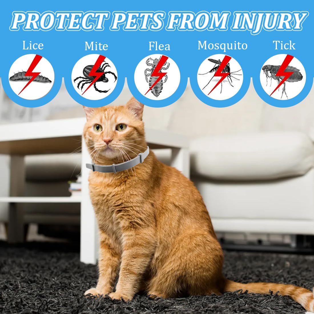 Collier Anti Puces pour chat, 8 Mois De Protection Efficace, Collier Anti Tique Chien, Réglable Et Étanche, Convient Aux chats De Toutes Tailles, réduit le risque de leishmaniose – Gris