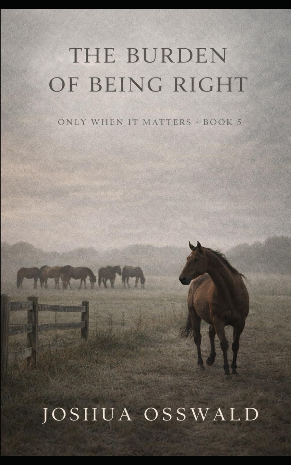 THE BURDEN OF BEING RIGHT: ONLY WHEN IT MATTERS SERIES BOOK 5