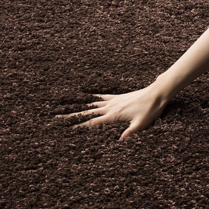 Image of Shaggy Carpet for Home 8X10 FEET Ultra-Soft, Thick, and Stylish Shag Texture Ideal for Living Room, Bedroom, or Office - Easy to Clean and Perfect (Solid-BROWN1,)