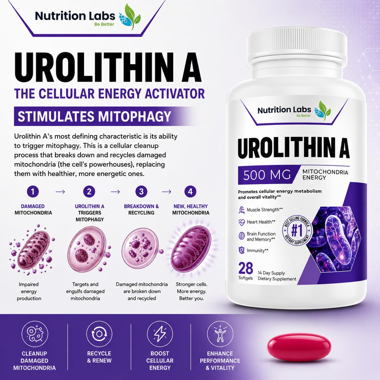 Urolithin A Supplement for Women & Men in Liposomal Form – Mitochondrial Health, Cellular Energy, Healthy Aging, Muscle Strength & Endurance Support – High Bioavailability – Nutrition Labs — Amazon image 8