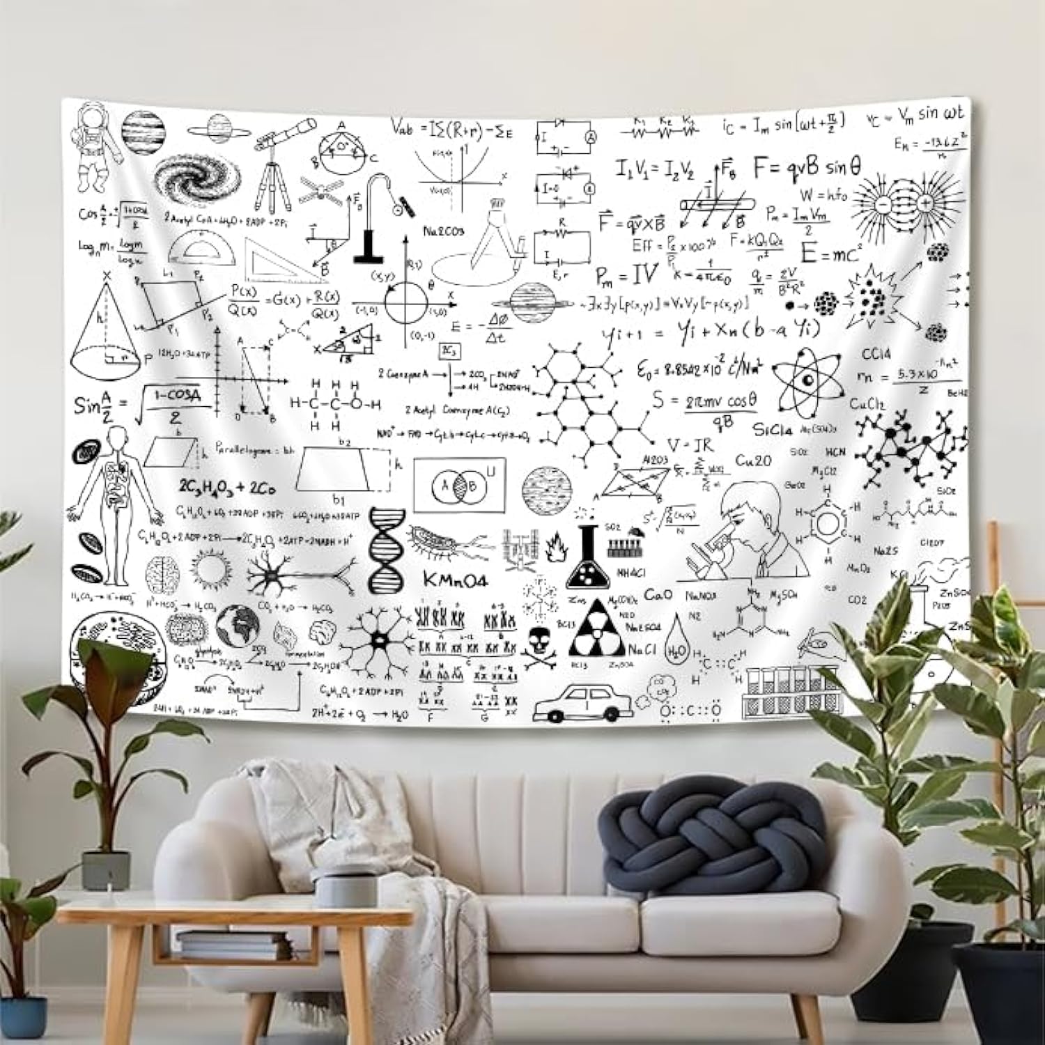 SAOLUIS Math Tapestry, Educational Wall Art, White And Black Tapestry Wall Hanging For Dorm Bedroom Living Room Home Decor 60X40 Inch