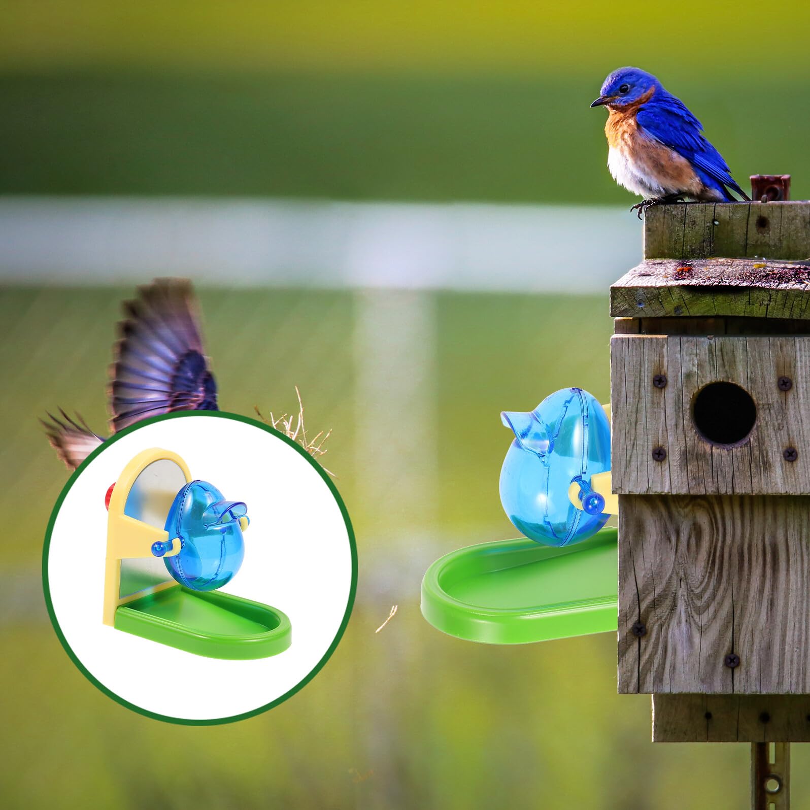 Homoyoyo Juguete Educativo para Loros de Tamaño Compacto Resistente y Seguro Adecuado para Entrenamiento y Desarrollo Mental de Aves Juguete para Mascotas Diseño Color Color Aleatorio