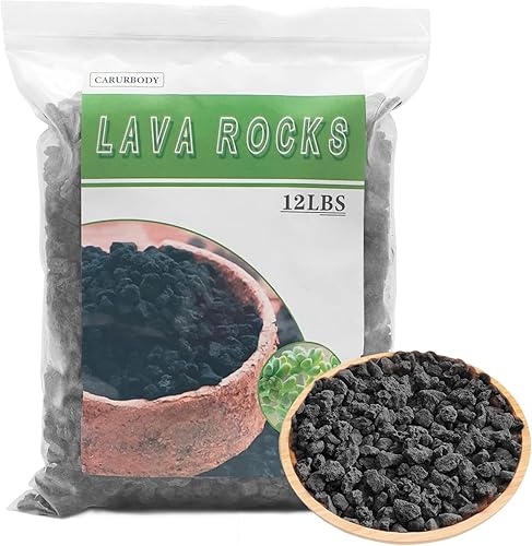 Rocas de lava negra para plantas, 100% roca volcánica pura, sin tintes ni productos químicos, el mejor aderezo para plantas suculentas de cactus,