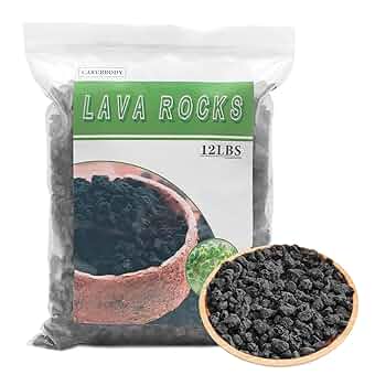 Amazon.com : CARURBODY Black Lava Rocks for Plants -100