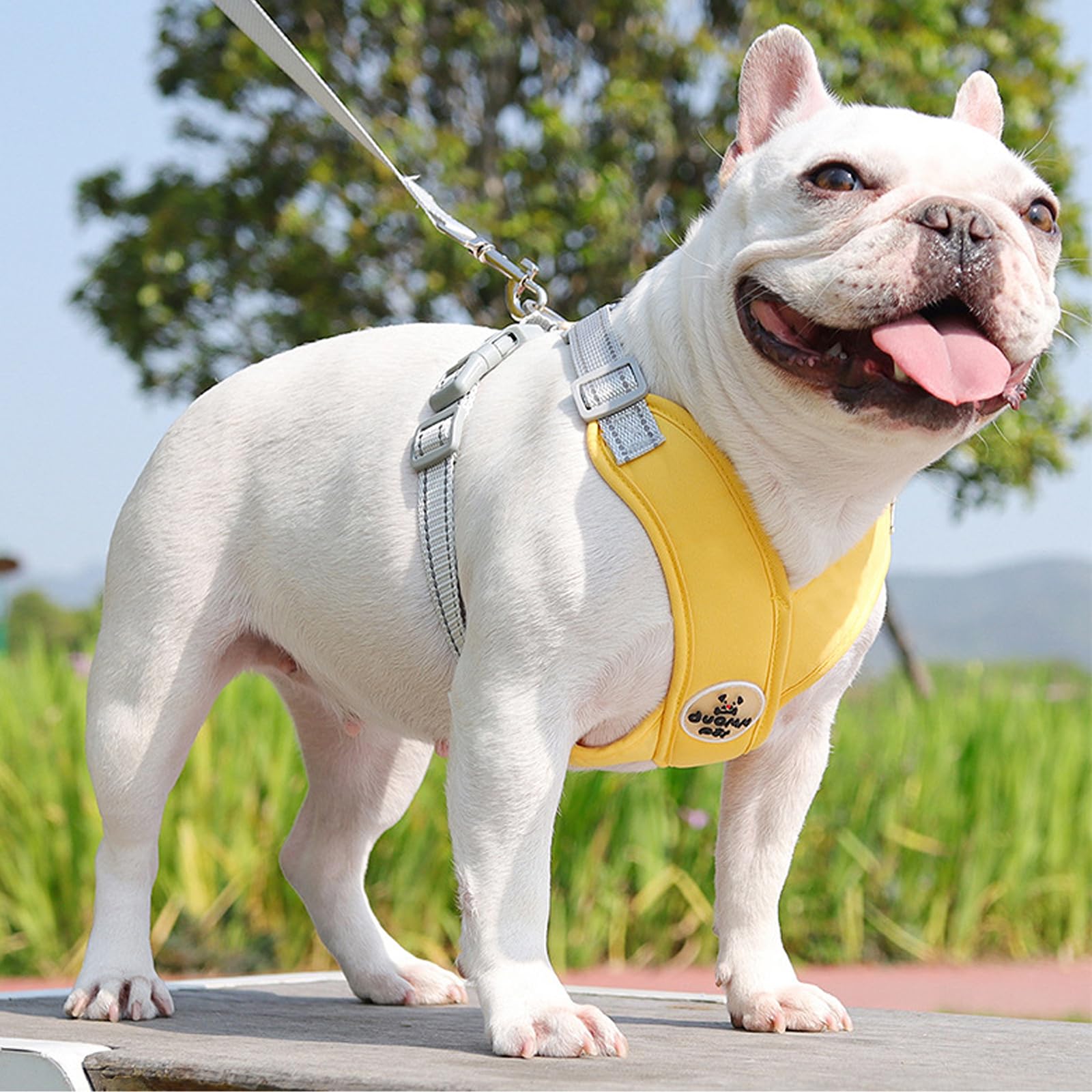 No Pull Dog Harness, Adjustable Pet Harness Collar &Leash Set Made of Soft Mesh, Step in Puppy Harness for Medium Dogs Outdoor Training, Running, Reflective Vest, Yellow M