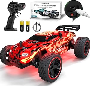 Tecnock RC Truck, 1:18 Scale 2WD Remote Control Truck with USB-C Easy Charging & 50-Min Play, 2.4GHz All-Terrain RC Car with LED Lights, Toys Gift for Kids Ages 8-12 Boys & Girls