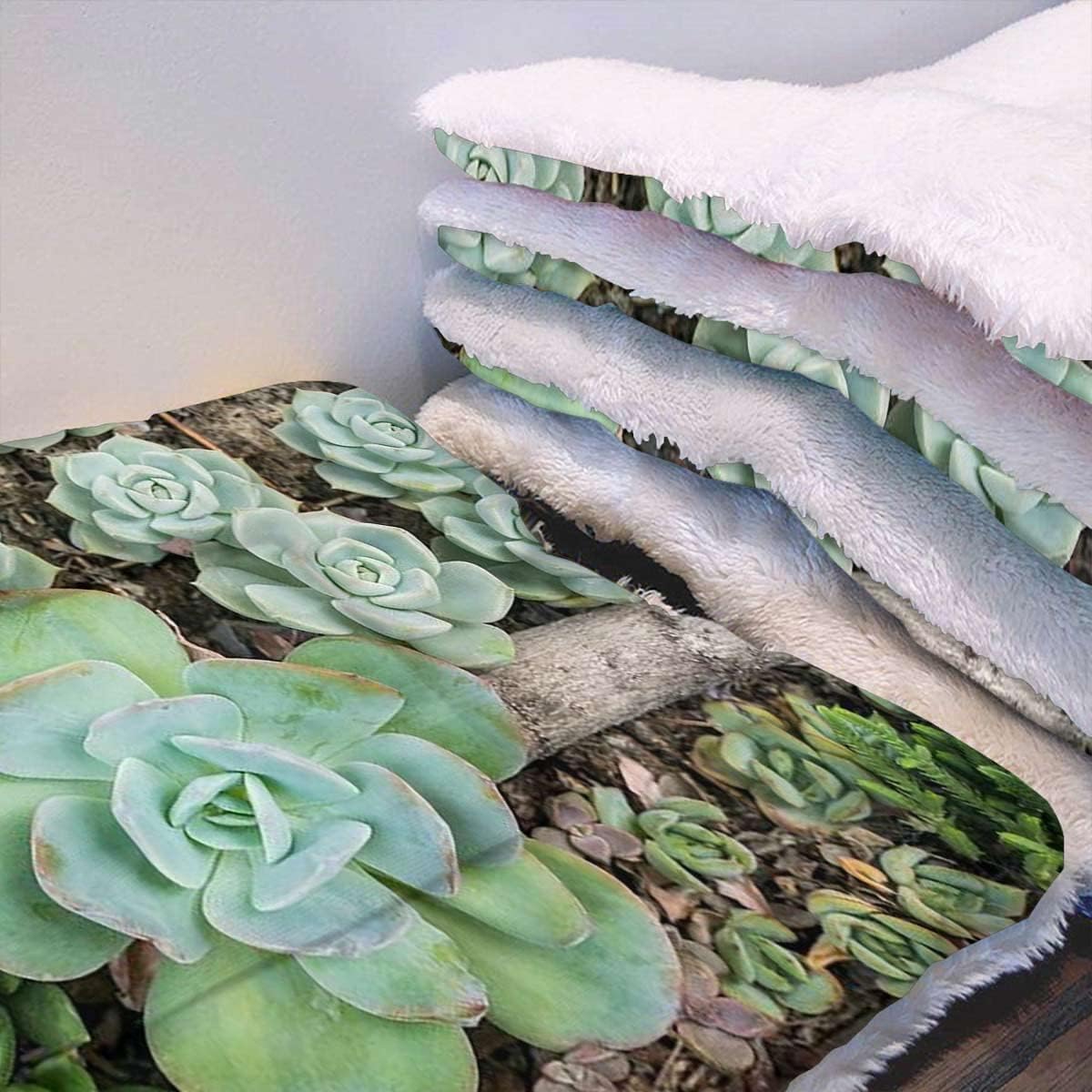 review Green Thermal Pet Mat Bed Liner Cute Succulents Flower Desert Super Soft Plush Dog Crate Pad for Travel or Home Hot Plant Artwork 19