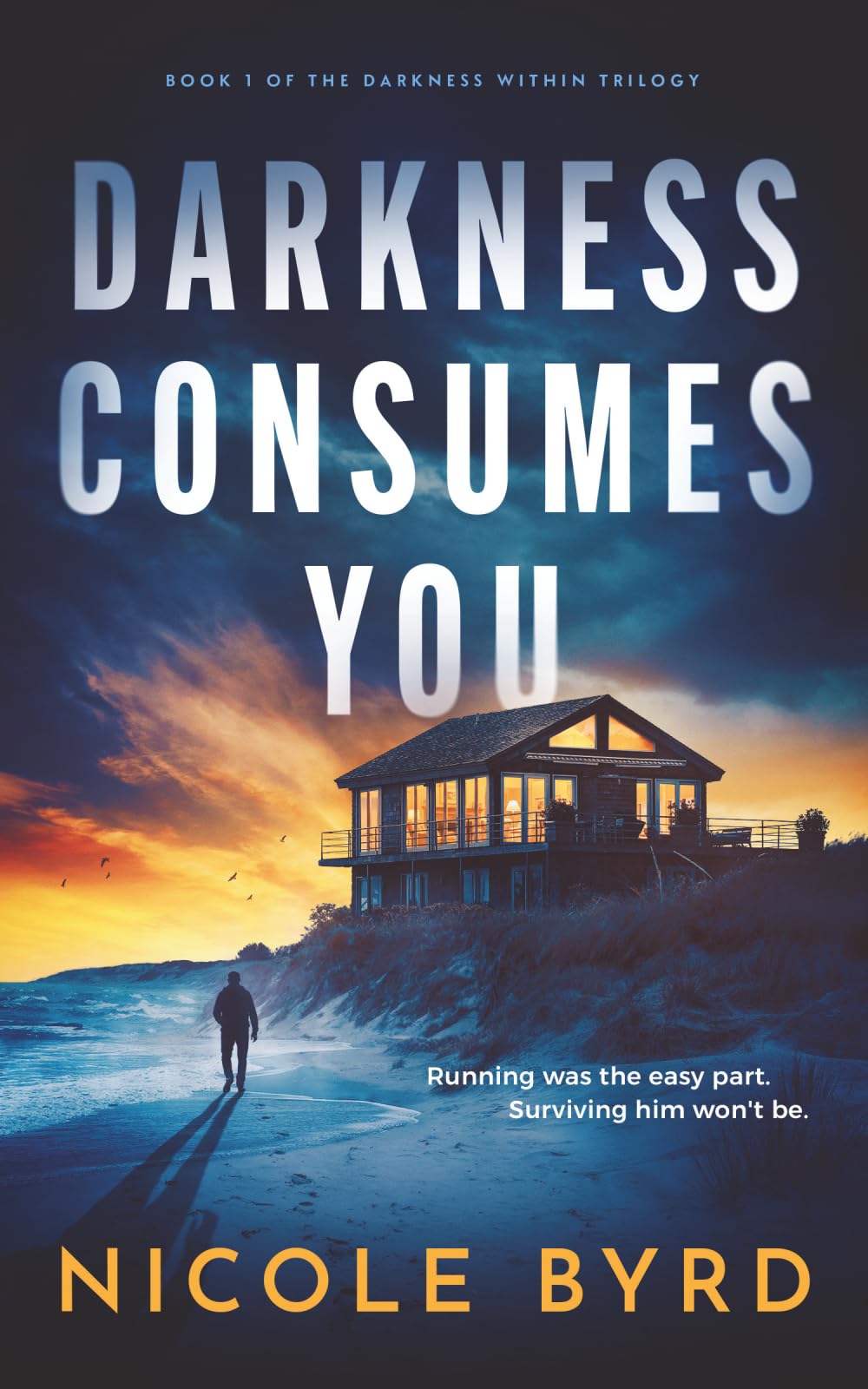 Darkness Consumes You (The Darkness Within Trilogy)