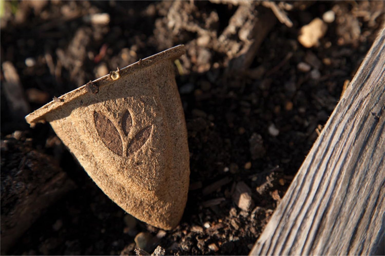 Miracle-Gro Groables Watermelon Seed Pod