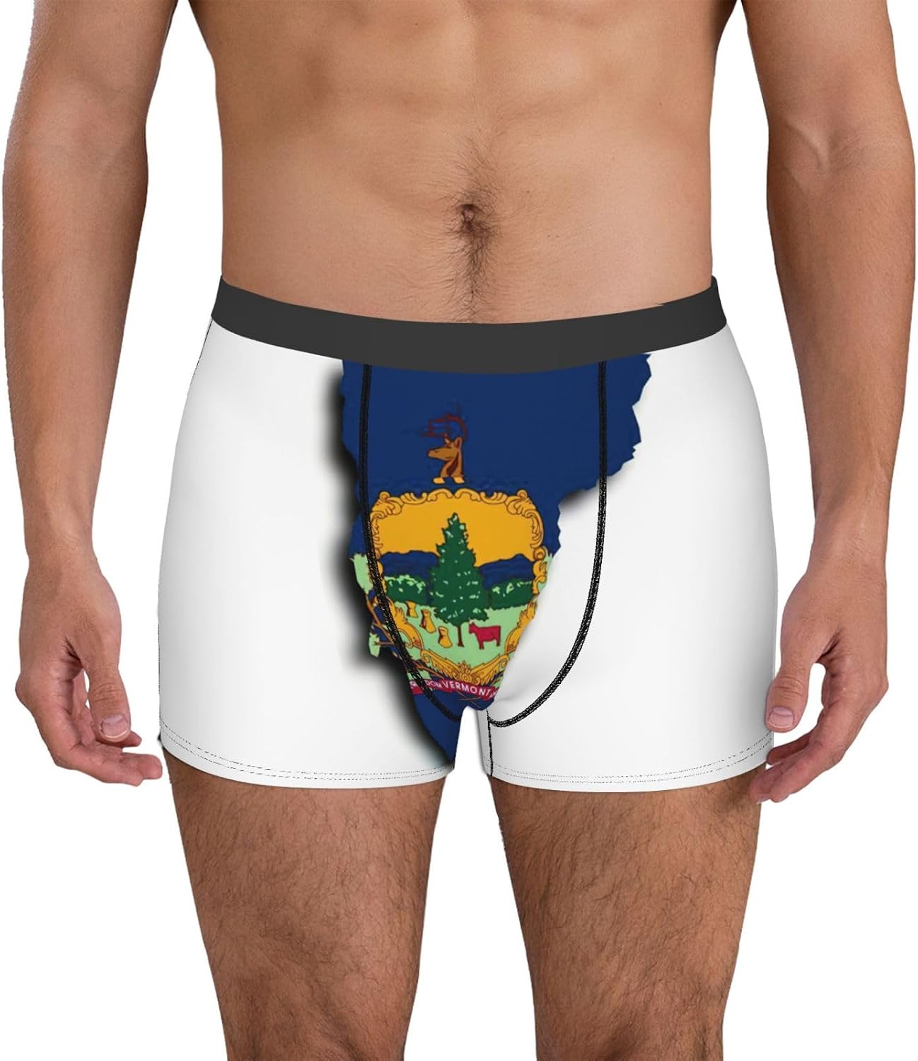 Vermont State Flag Map Print Boxers For Men–full Print Mens Underwear Boxer Briefs,Comfortable Boxers For Men