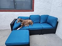 Review Image by Amazon Customer Amazon Customer