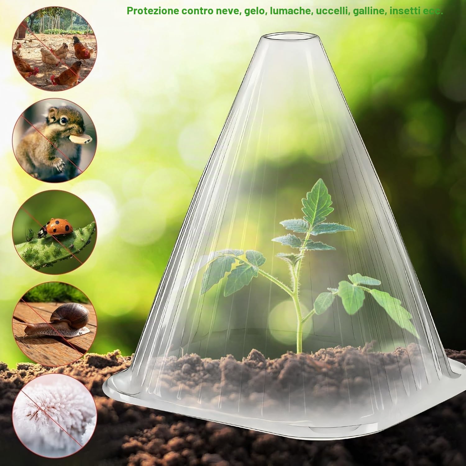 KAHEIGN 20 Pezzi Campane per Piante da Giardino, 22CM x 19CM Copertura per Campana per Piante in Plastica Mini Serra Riutilizzabile per Protezione da Sole Neve Gelo Lumache Uccelli Insetti (Chiaro)